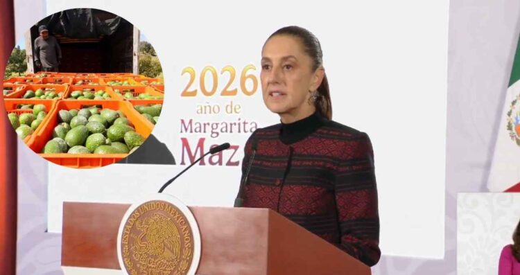 Claudia Sheinbaum, Aguacate, Estados Unidos