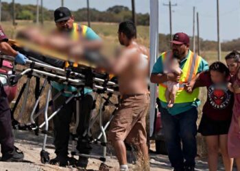 Enjambre familia en Río Bravo