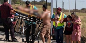 Enjambre familia en Río Bravo