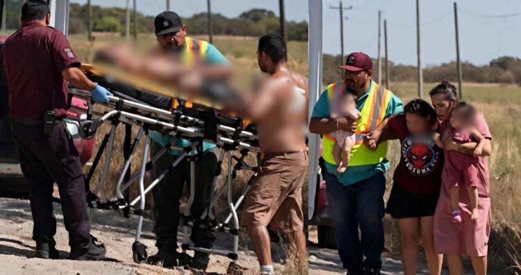 Enjambre familia en Río Bravo