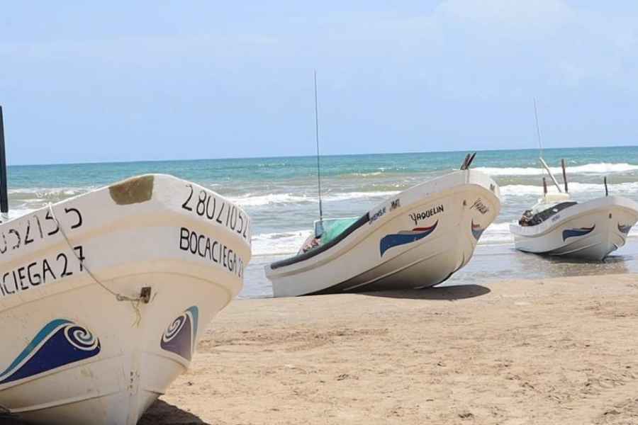Extienden veda camarón Tamaulipas