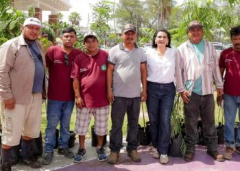 Gobierno Tampico Jornada Reforestacion