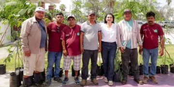 Gobierno Tampico Jornada Reforestacion