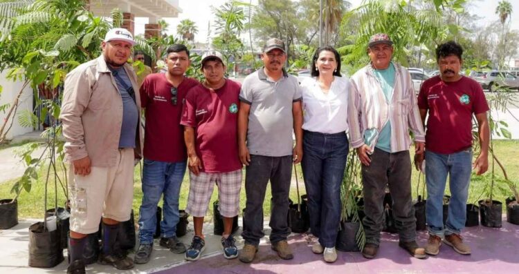 Gobierno Tampico Jornada Reforestacion