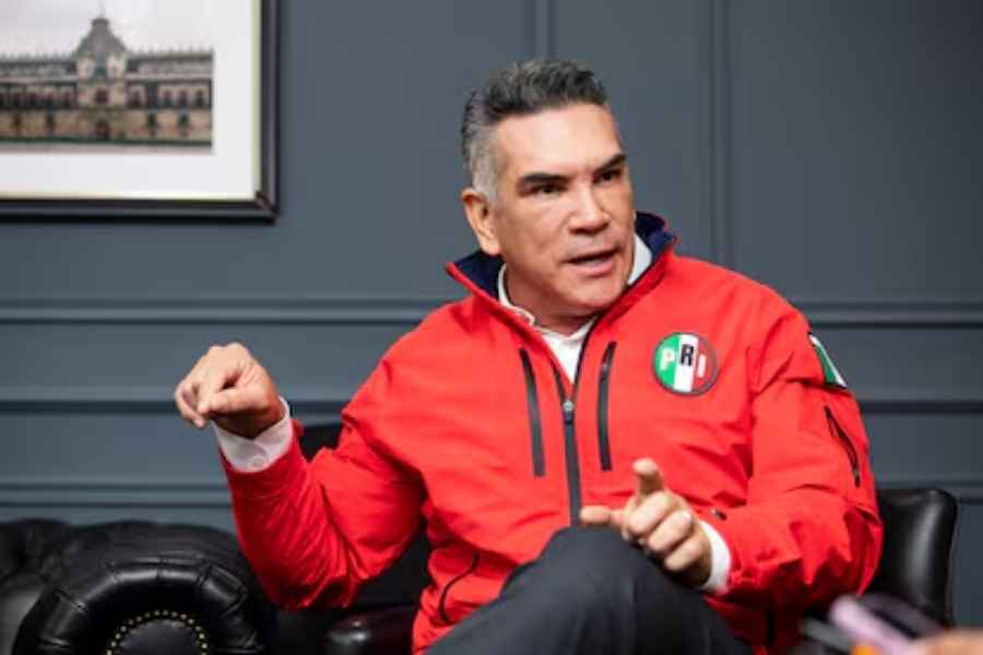 Guadalupe Taddei Alito Moreno
