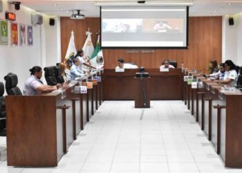 IETAM plataforma candidatos Tamaulipas