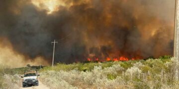 Incendio mil hectáreas en Jiménez