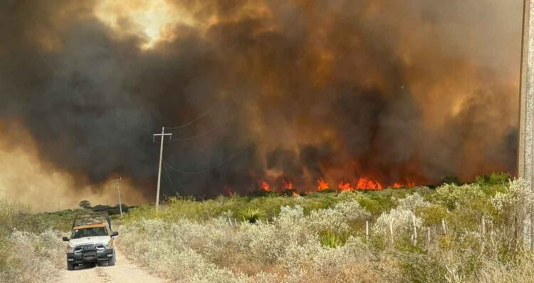 Incendio mil hectáreas en Jiménez