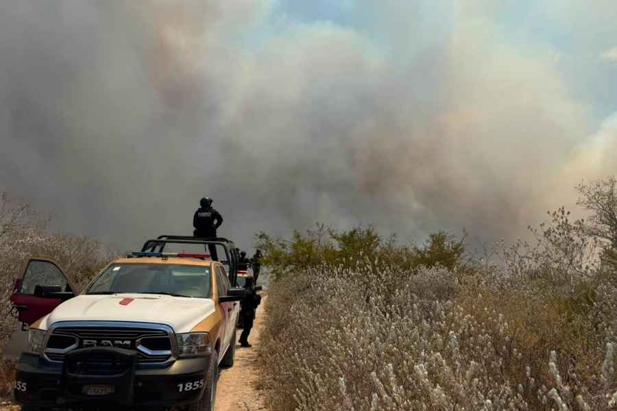 Incendios forestales hectáreas  Tamaulipas