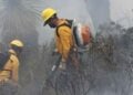Incendios forestales hectáreas Tamaulipas
