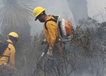 Incendios forestales hectáreas Tamaulipas
