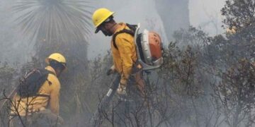 Incendios forestales hectáreas Tamaulipas