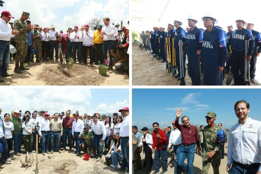 Jornada Nacional de Reforestación 2026