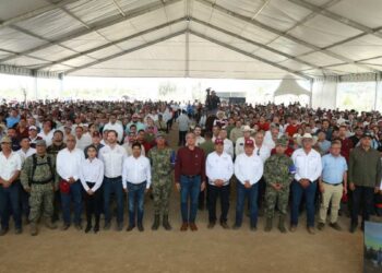 Jornada Nacional de Reforestación 2026