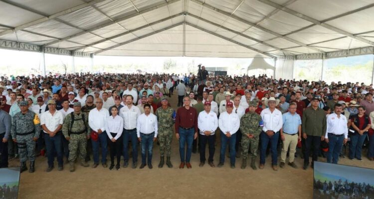 Jornada Nacional de Reforestación 2026