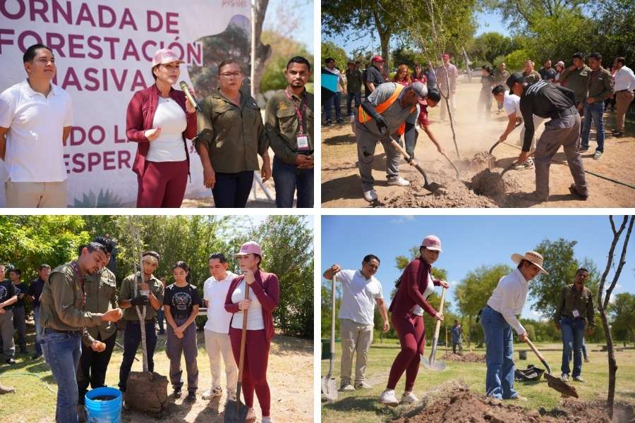 Jornada Nacional de Reforestación Nuevo Laredo