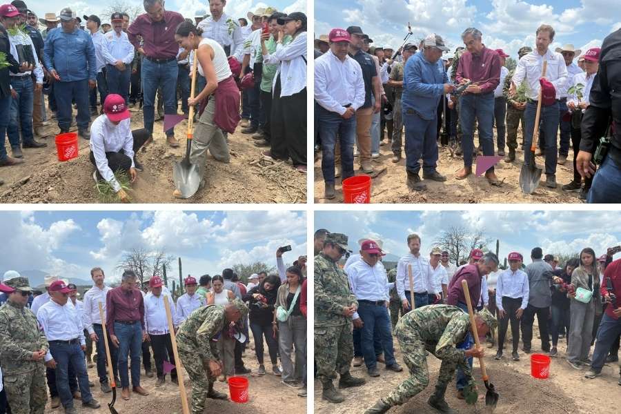 Jornada Nacional de Reforestación Tamaulipas
