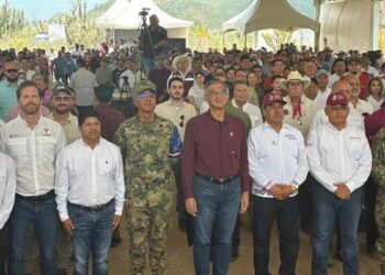 Jornada Nacional de Reforestación Tamaulipas