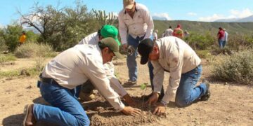 Jornada Nacional de Reforestación en Tamaulipas