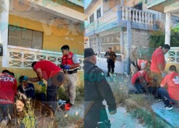 Ladrones golpiza en Tampico