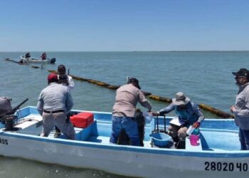 Laguna Madre Tamaulipas