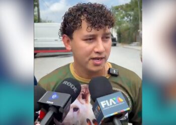 León abandonado en Matamoros