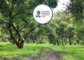 México Jornada Nacional de Reforestación