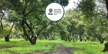México Jornada Nacional de Reforestación