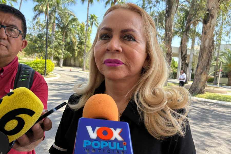 Primaria clases virtuales Victoria