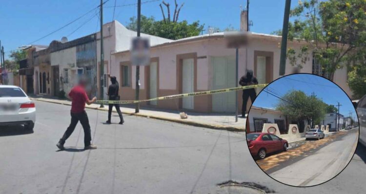 Profepa robo escuela Ciudad Victoria