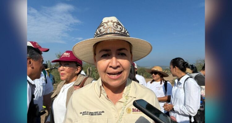 Programas para el Bienestar en Tamaulipas