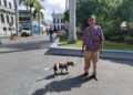 Protección Animal Tampico