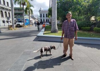 Protección Animal Tampico