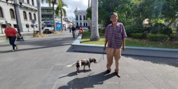 Protección Animal Tampico