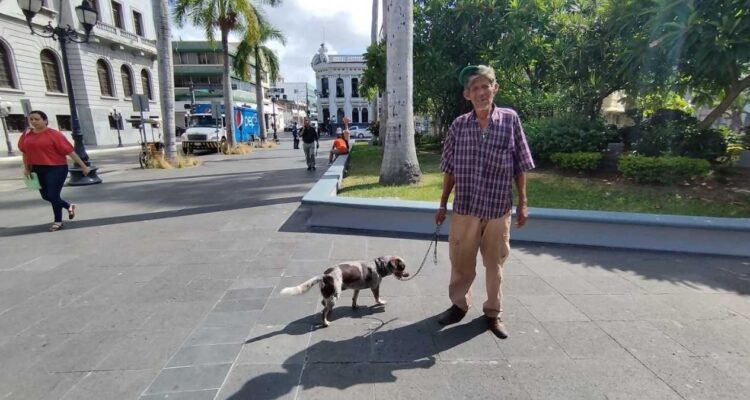 Protección Animal Tampico