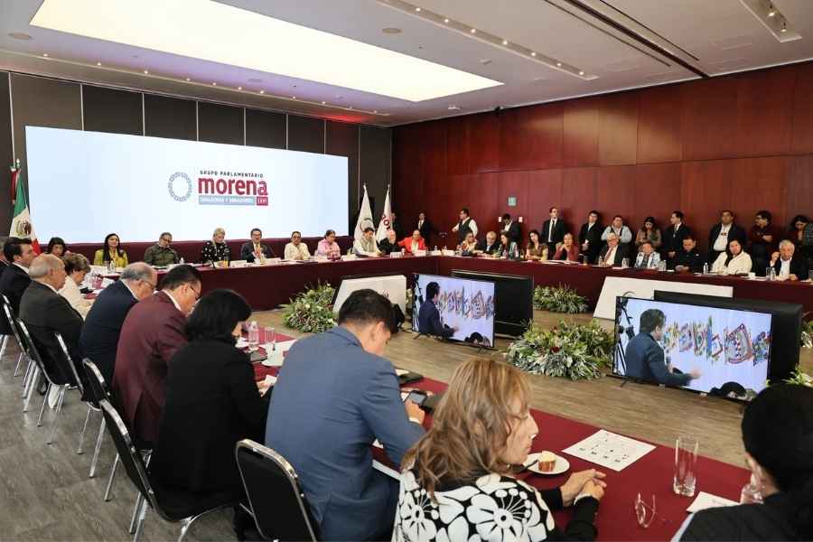 Rosa Icela principios movimiento