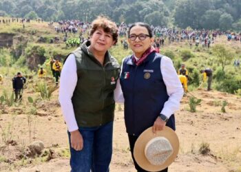 Segob Jornada Nacional de Reforestación