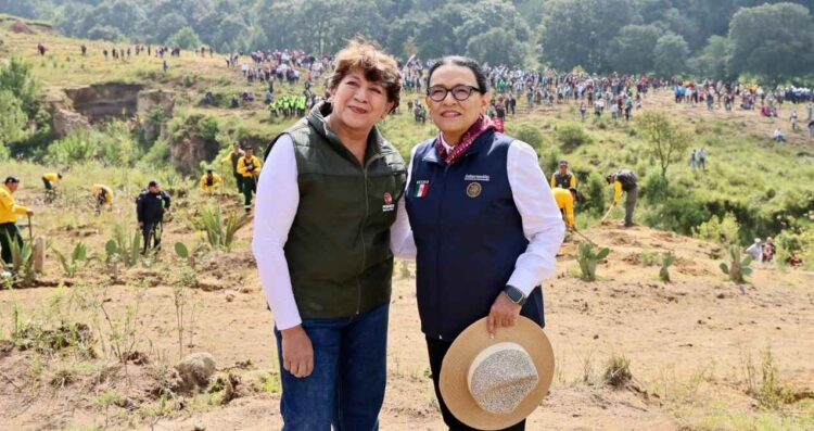 Segob Jornada Nacional de Reforestación