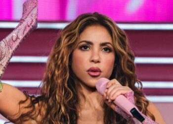 Shakira meme computadora