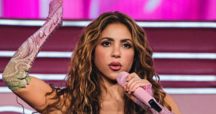 Shakira meme computadora