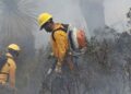 Sofocan incendio forestal Tamaulipas
