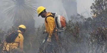 Sofocan incendio forestal Tamaulipas