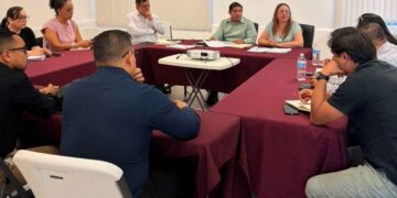 TPT transparencia informacion publica