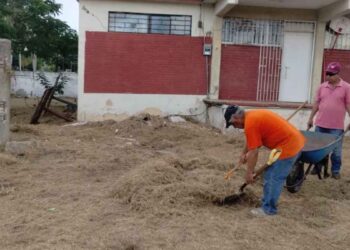 Tampico limpia repara escuelas