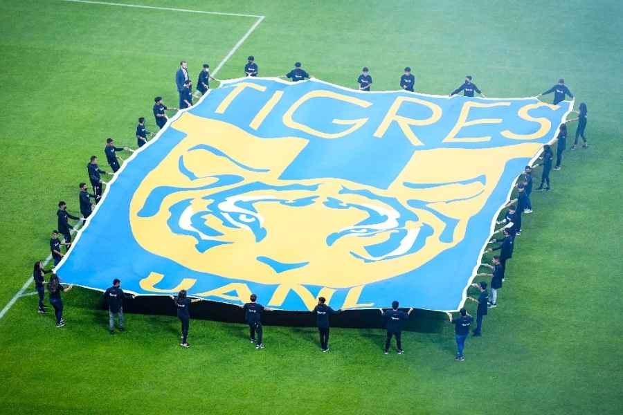 Tigres nuevo entrenador