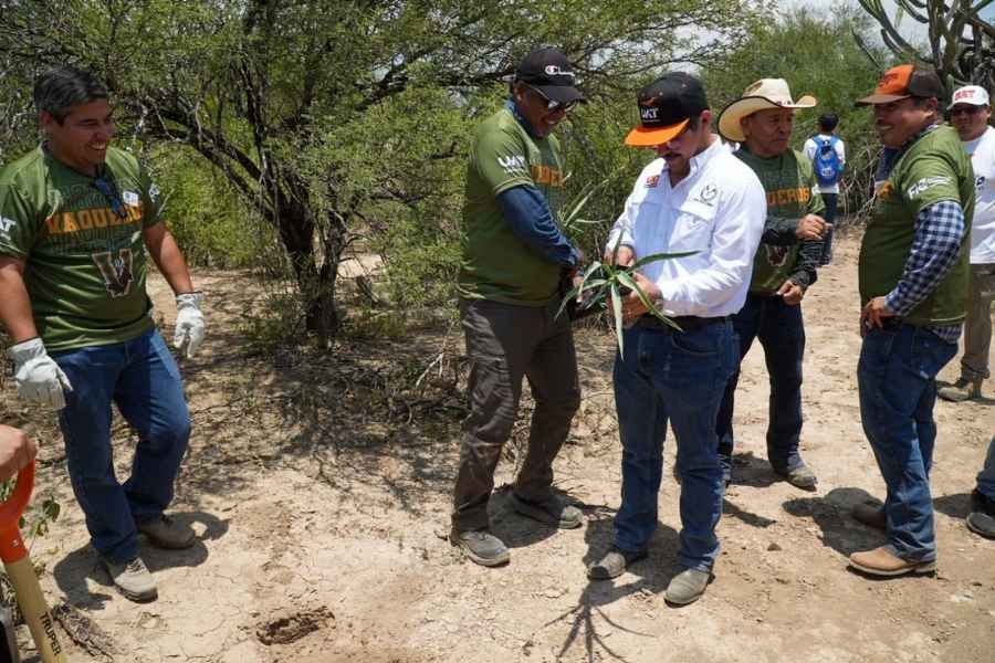 UAT Jornada Nacional Reforestacion