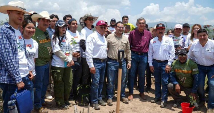 UAT Jornada Nacional Reforestacion
