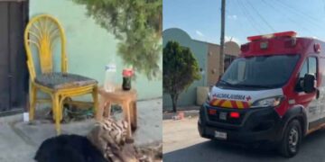 adulto mayor Cima 2