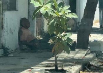 adulto reportado herido Mante