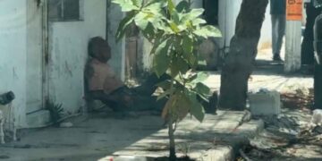 adulto reportado herido Mante